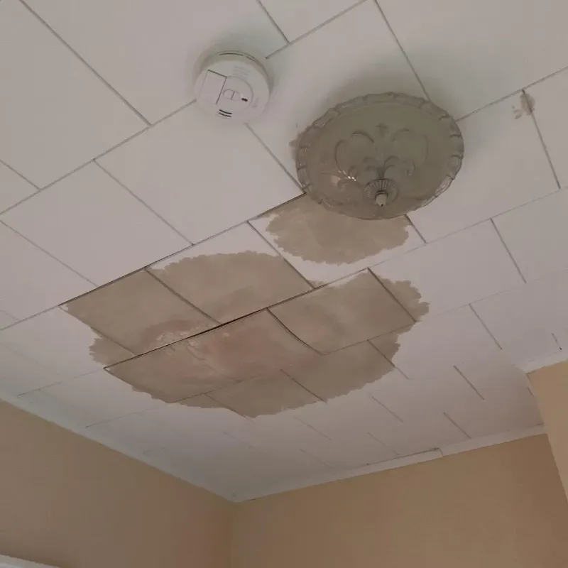 Ceiling Water Damage Repair in Ellis County, KS