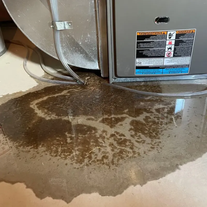 Pipe Burst and Leak Restoration in Ellis County, KS