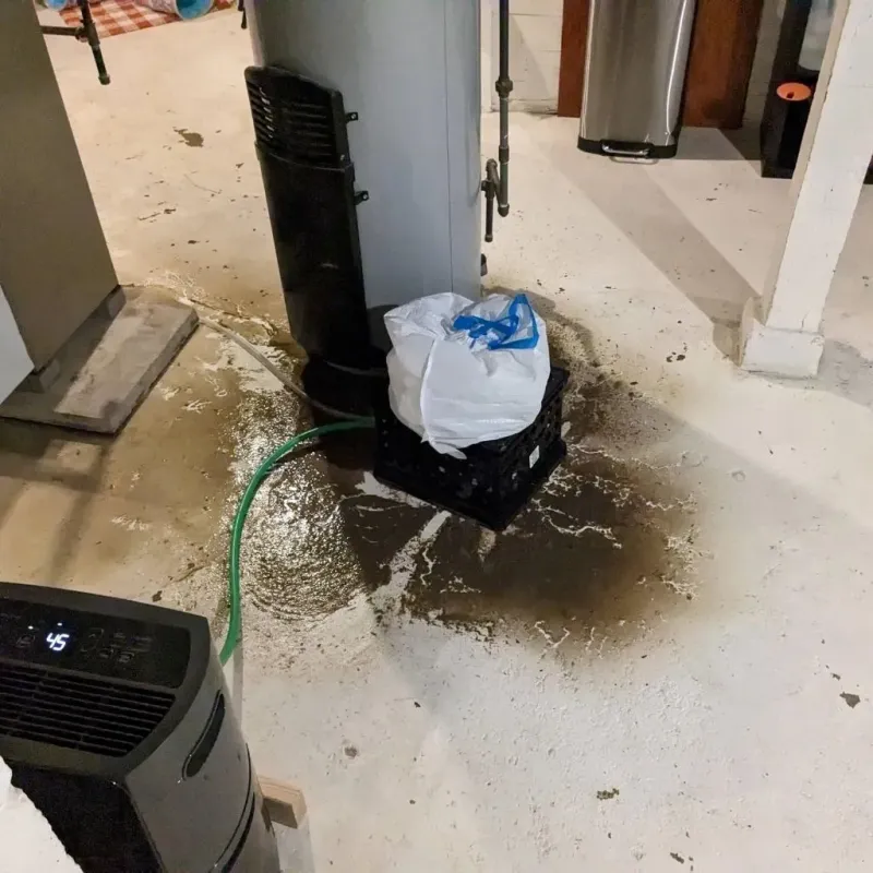 Sewage Backup Cleanup Service in Ellis County, KS
